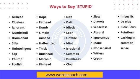 another word for stupid|nicer way to say dumb.